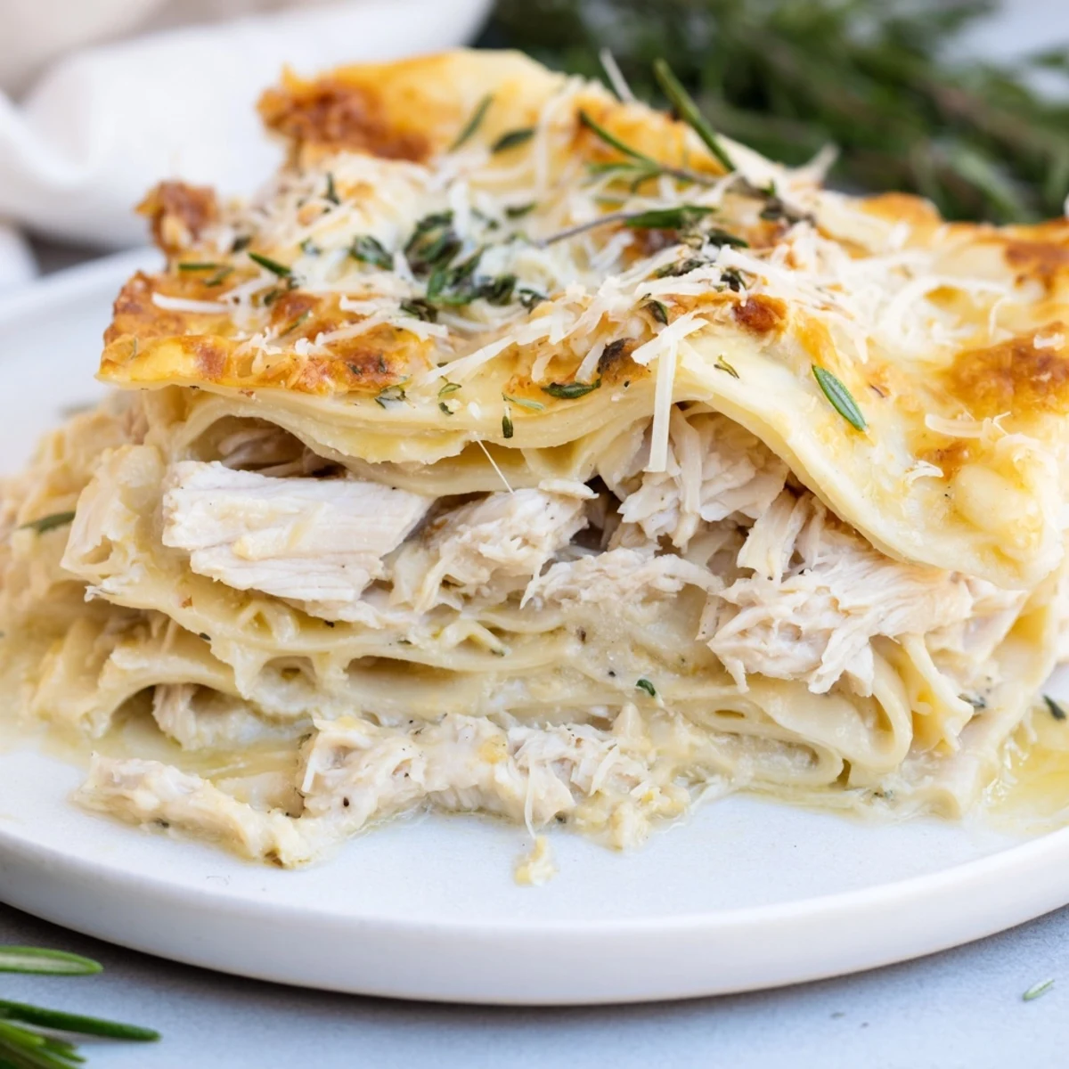 Fragrant rosemary chicken lasagna, layered with creamy béchamel, golden and bubbling from the oven.